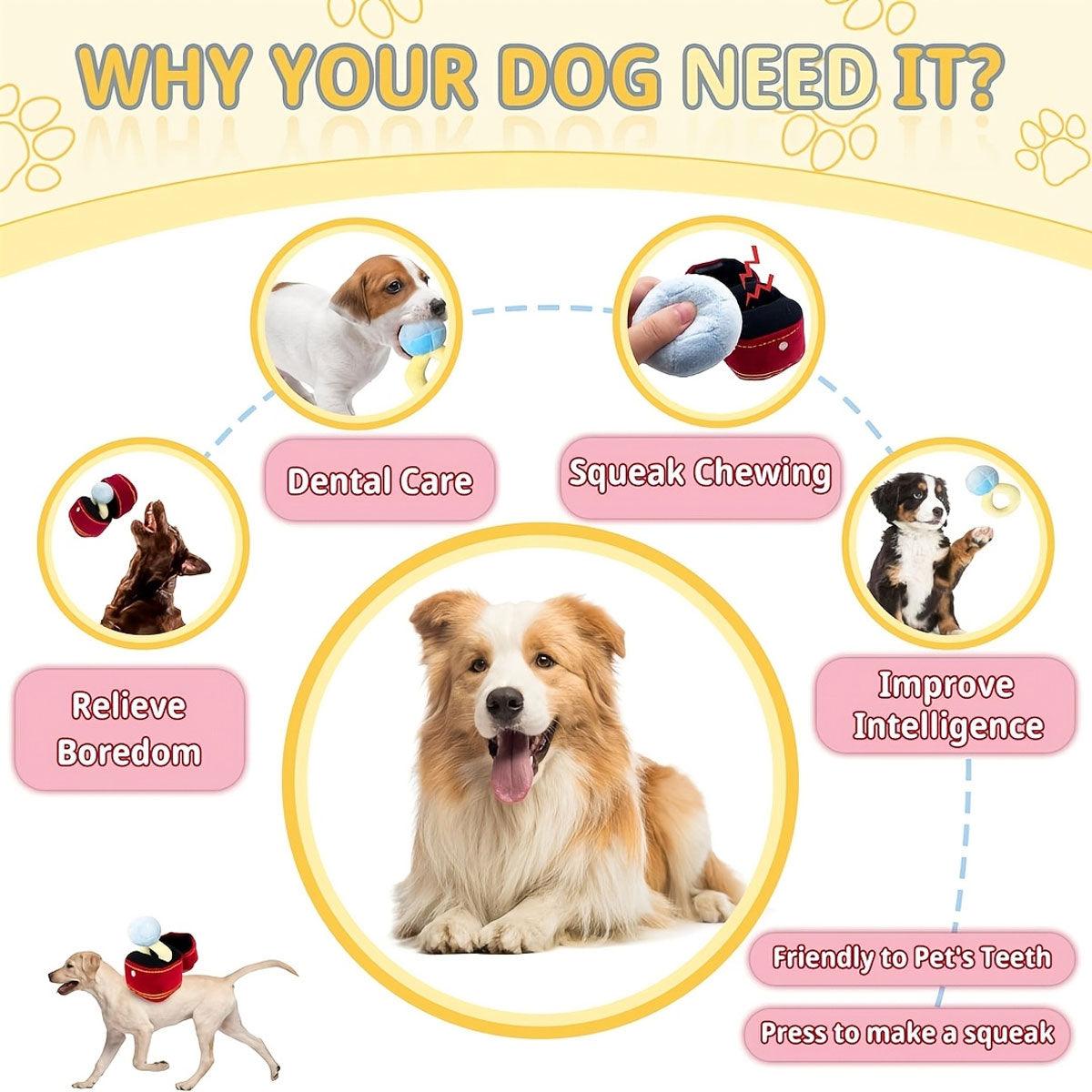 Dog Apparel: Plush Pet Toy Interactive Ring Box Chew Toy for Dogs and Cats Soft Squeaky Play
