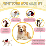 Dog Apparel: Plush Pet Toy Interactive Ring Box Chew Toy for Dogs and Cats Soft Squeaky Play