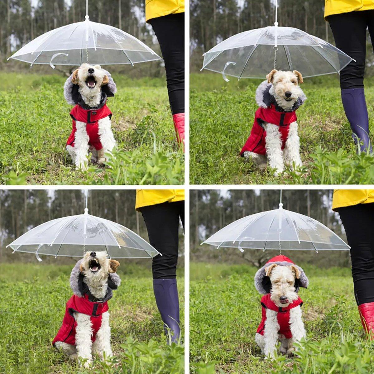 Dog Apparel: Pet Dog Transparent Umbrella 30 inch Diameter With Dog Leash For Rain Walking Outdoor