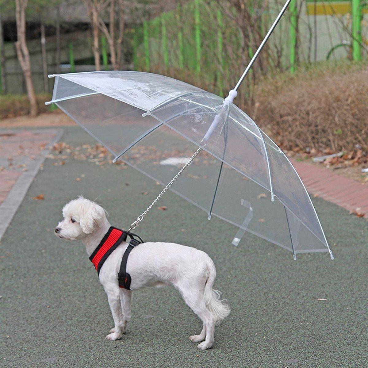Dog Apparel: Pet Dog Transparent Umbrella 30 inch Diameter With Dog Leash For Rain Walking Outdoor