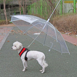 Dog Apparel: Pet Dog Transparent Umbrella 30 inch Diameter With Dog Leash For Rain Walking Outdoor