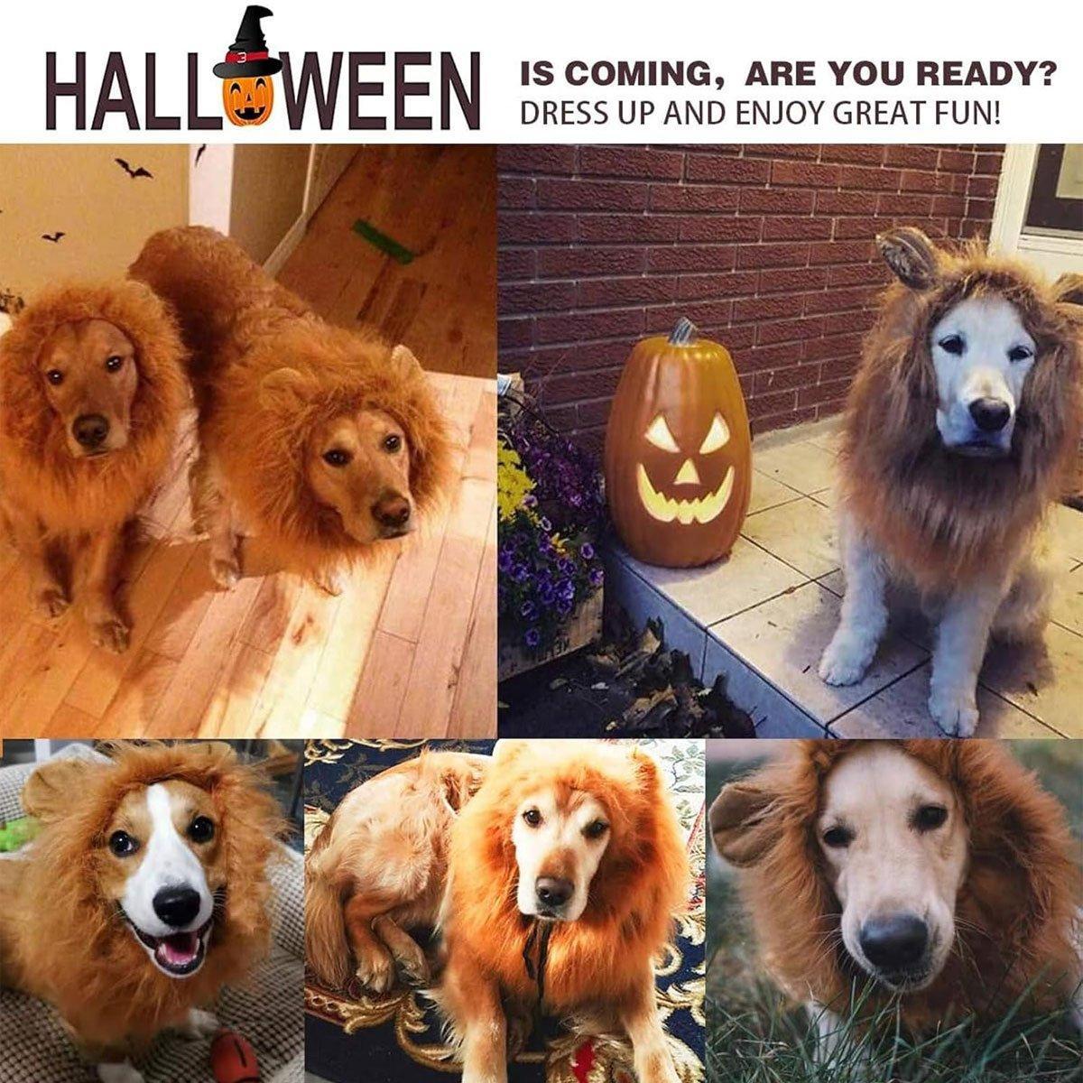 Dog Apparel: Lion Costume Mane Wig Large Dog Fancy Dress Up Party for Pet Halloween Clothes - Coffee-M