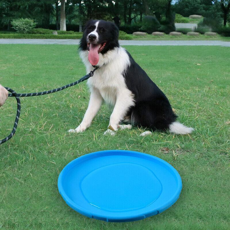 Dog Apparel: Frisbee Toy for Dogs Outdoor Fetch Training Soft Rubber Pet Flying Disc 18cm - Purple