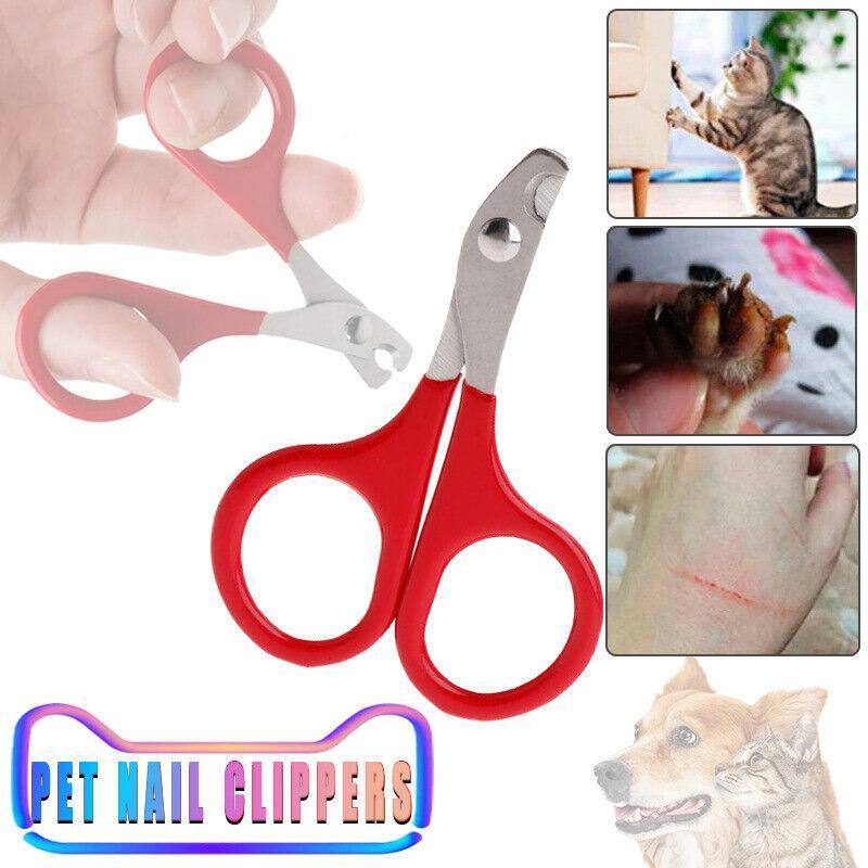 Pet Grooming Supplies: Pet Nail Claw Grooming Scissors Clippers For Dog Cat Bird Rabbit Ferret