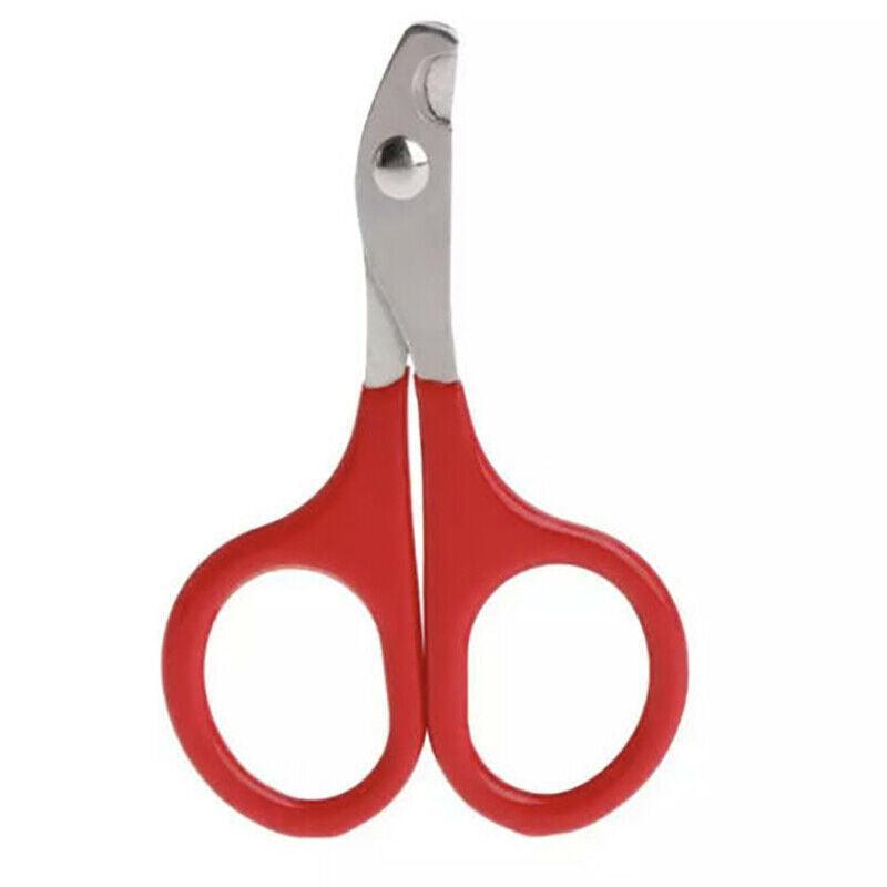 Pet Grooming Supplies: Pet Nail Claw Grooming Scissors Clippers For Dog Cat Bird Rabbit Ferret