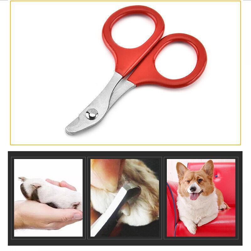 Pet Grooming Supplies: Pet Nail Claw Grooming Scissors Clippers For Dog Cat Bird Rabbit Ferret