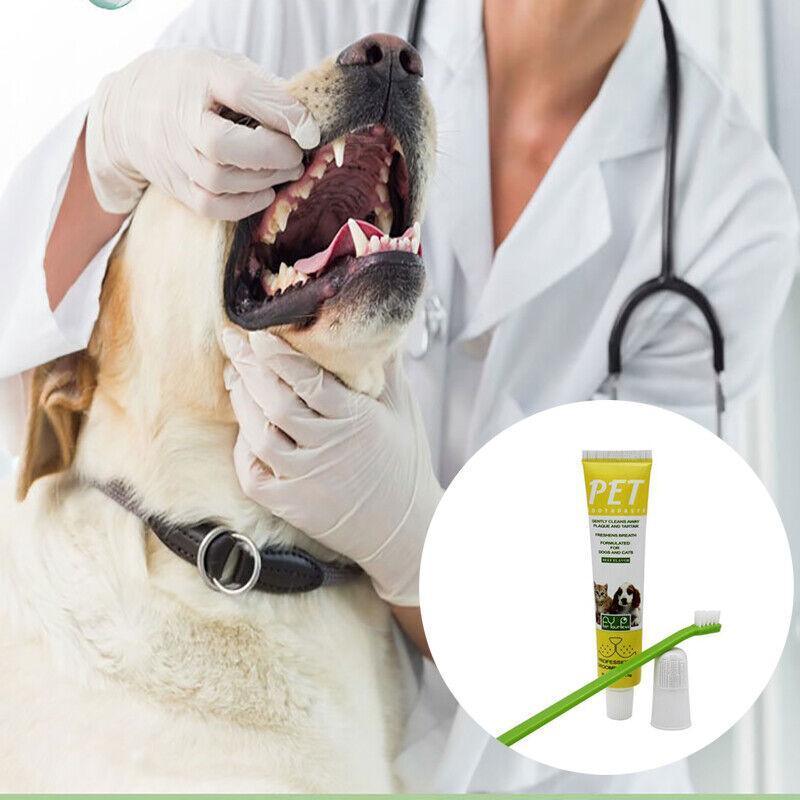 Pet Grooming Supplies: Pet Dog Cat Toothpaste and Toothbrush Set Beef Flavor