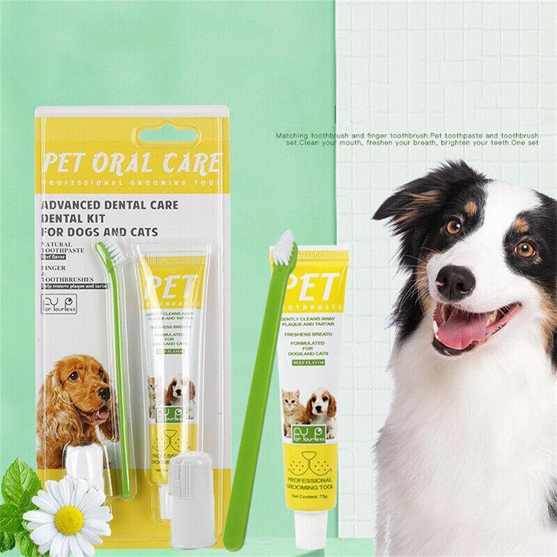Pet Grooming Supplies: Pet Dog Cat Toothpaste and Toothbrush Set Beef Flavor