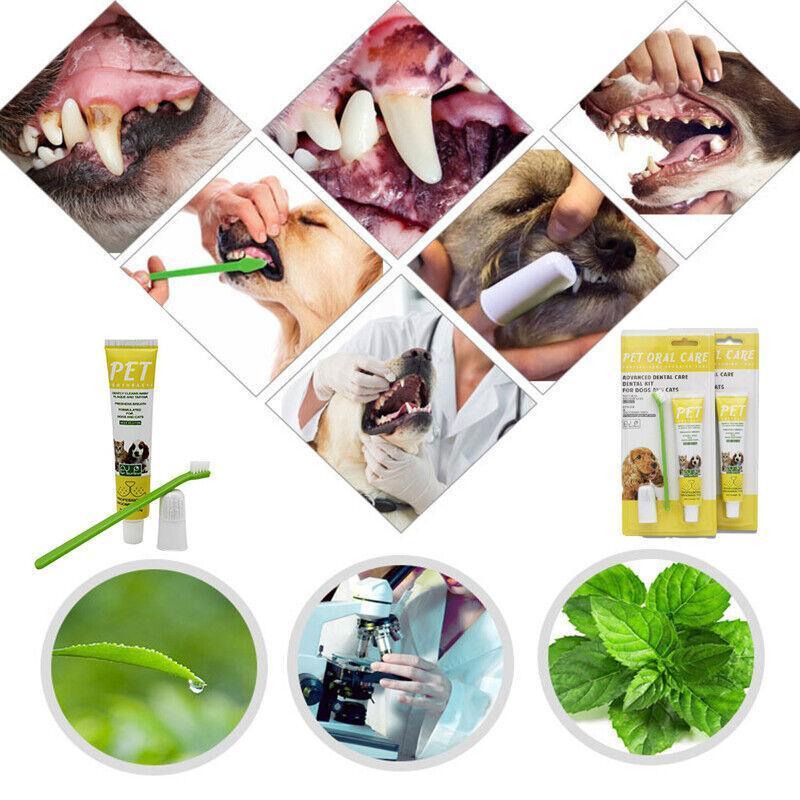 Pet Grooming Supplies: Pet Dog Cat Toothpaste and Toothbrush Set Beef Flavor