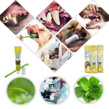 Pet Grooming Supplies: Pet Dog Cat Toothpaste and Toothbrush Set Beef Flavor