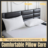 Cushions & Throws: Hotel Quality White Pillow Core Soft Cotton Pillow Insert for Bedroom Living Room