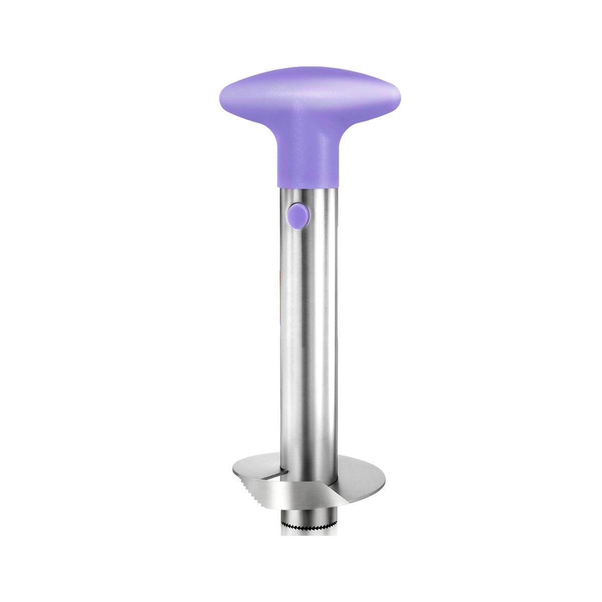 Kitchen Utensils: Stainless Steel Pineapple Corer Slicer Peeler Cutter Tool Easy Pineapple Cutter - Blue