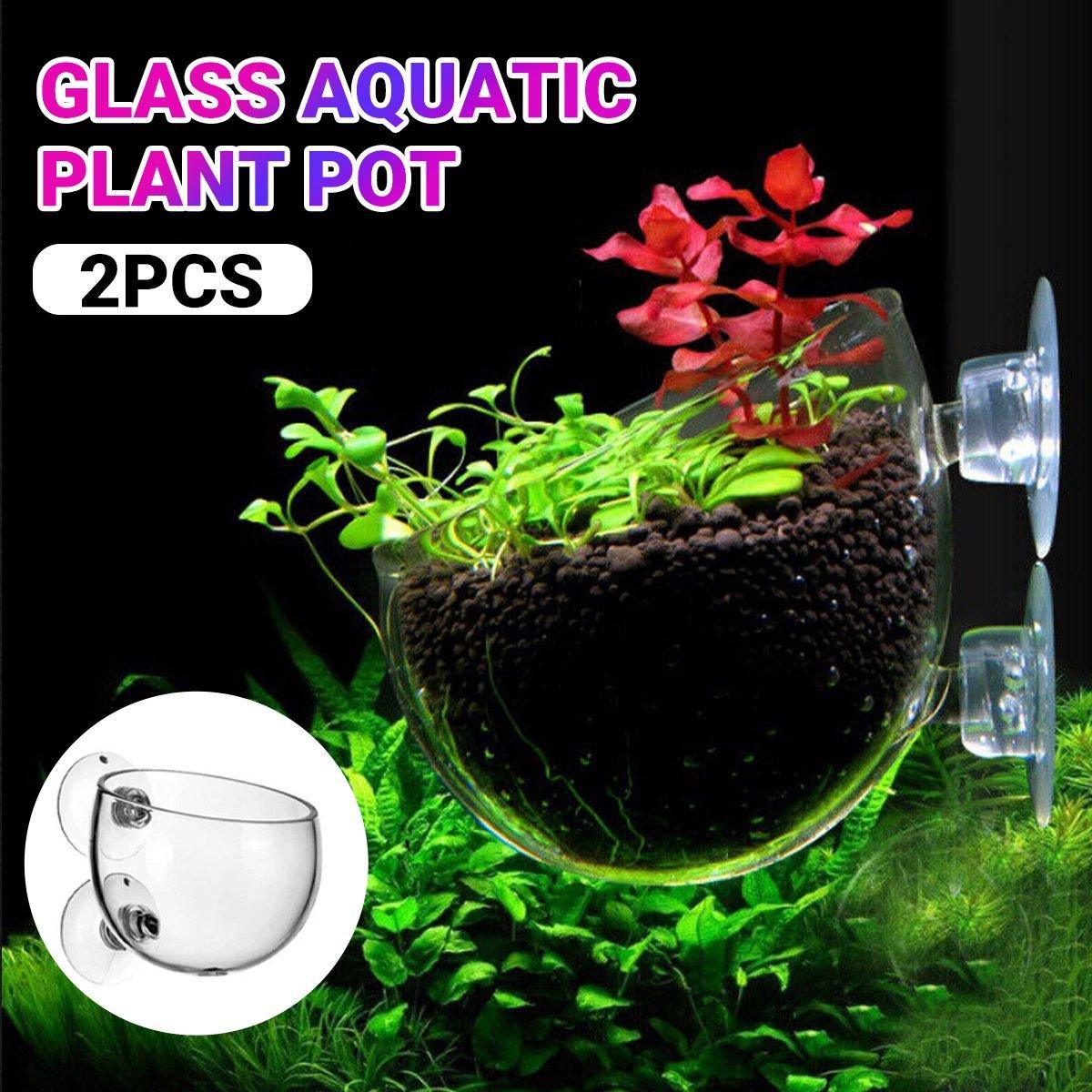 Aquarium Decor: Aquarium Plant Cup for Breeding and Aquascaping Glass Water Plant Holder