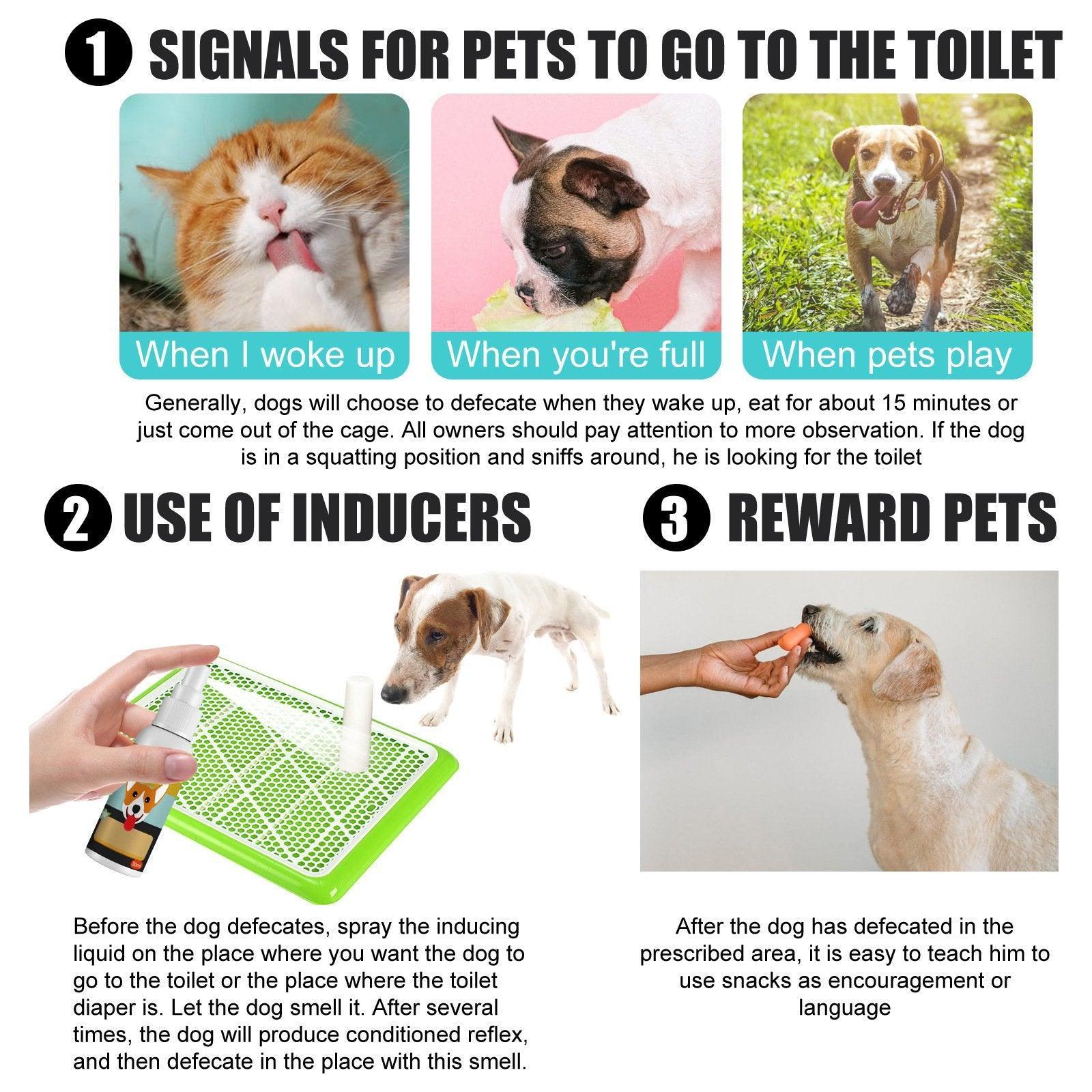 Dog Training Aids: Pet Toilet Training Spray Inducer Dog Poops Cat Pee Urine Positioning Defecation