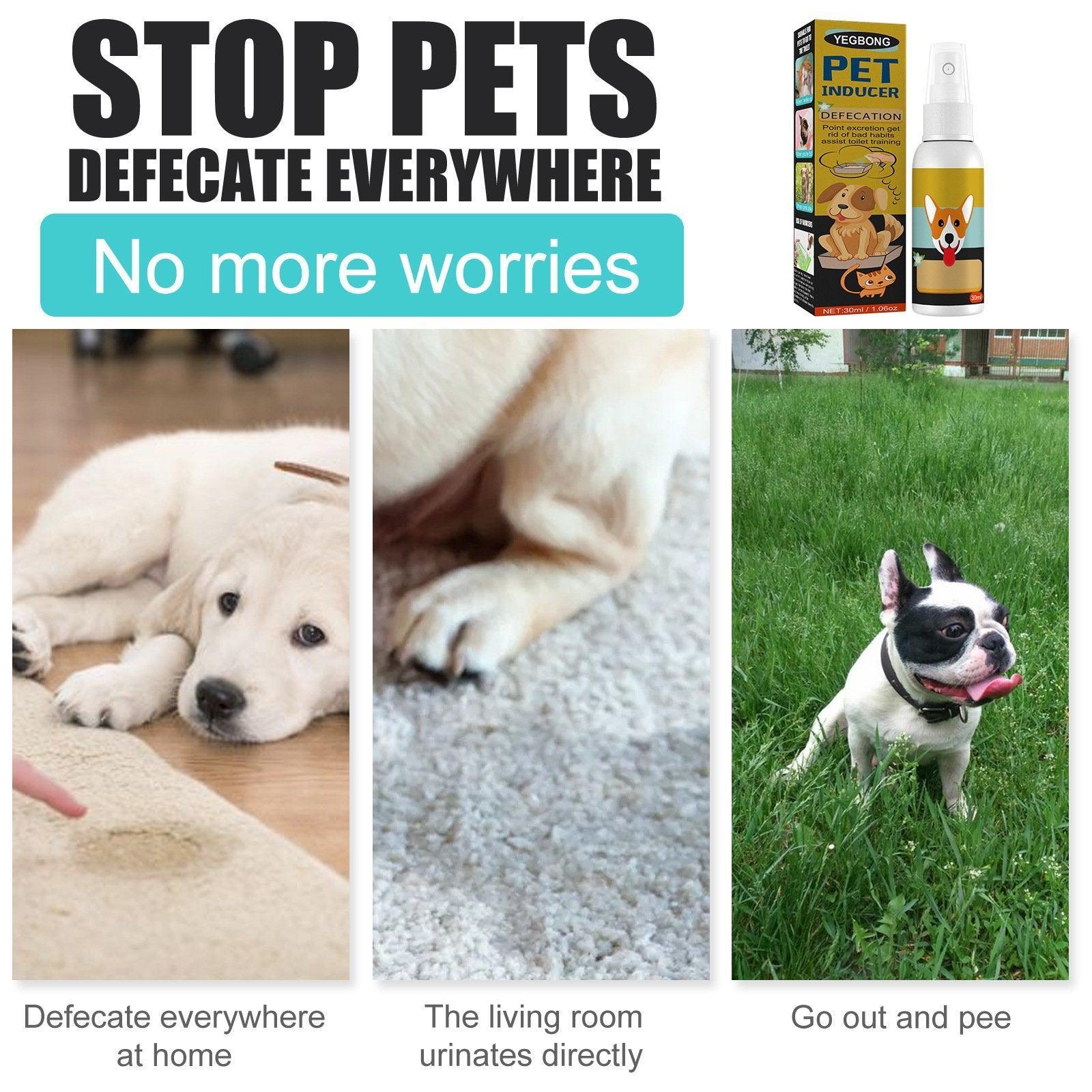 Dog Training Aids: Pet Toilet Training Spray Inducer Dog Poops Cat Pee Urine Positioning Defecation