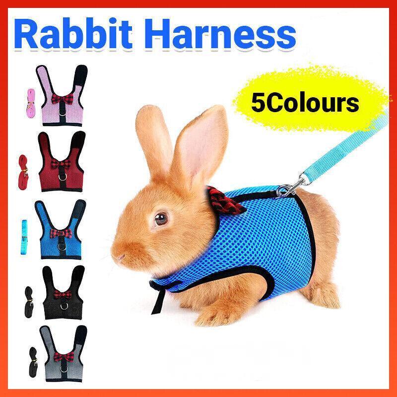 Pet ID Tags: Rabbit Vest Harness Leash Lead Small Animal Pet Mesh Hamster Bunny Traction Rope L - Black