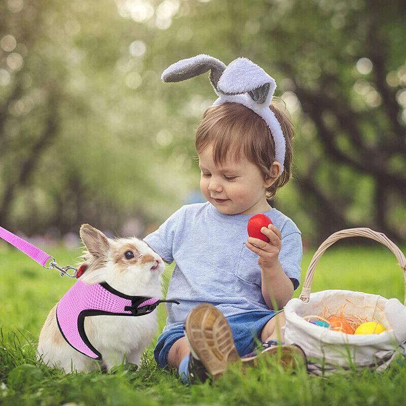 Pet ID Tags: Rabbit Vest Harness Leash Lead Small Animal Pet Mesh Hamster Bunny Traction Rope L - Black