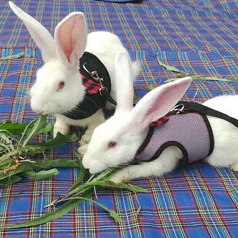 Pet ID Tags: Rabbit Vest Harness Leash Lead Small Animal Pet Mesh Hamster Bunny Traction Rope L - Black