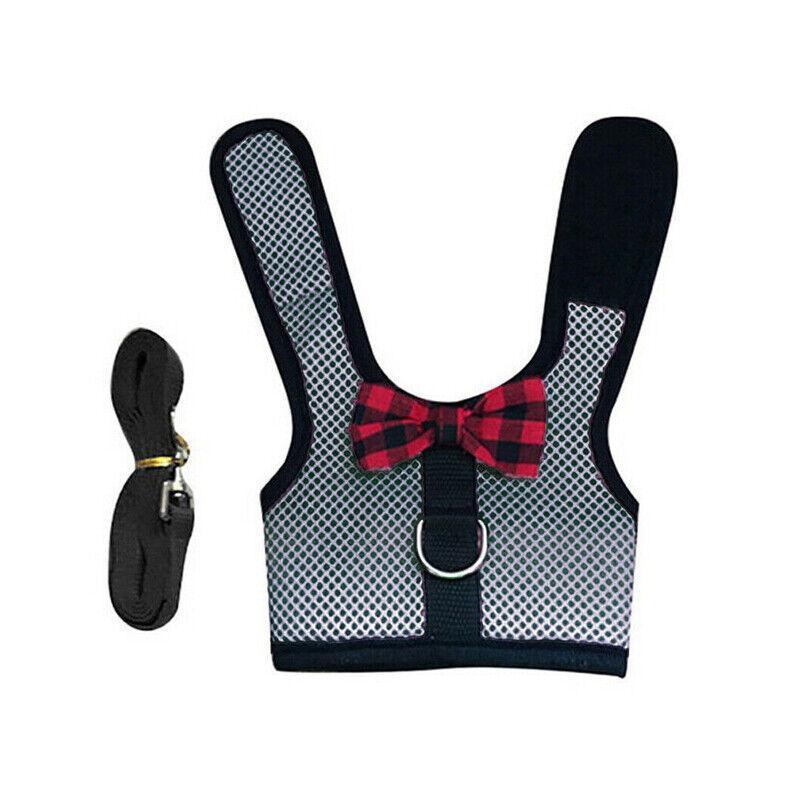 Pet ID Tags: Rabbit Vest Harness Leash Lead Small Animal Pet Mesh Hamster Bunny Traction Rope M - Black