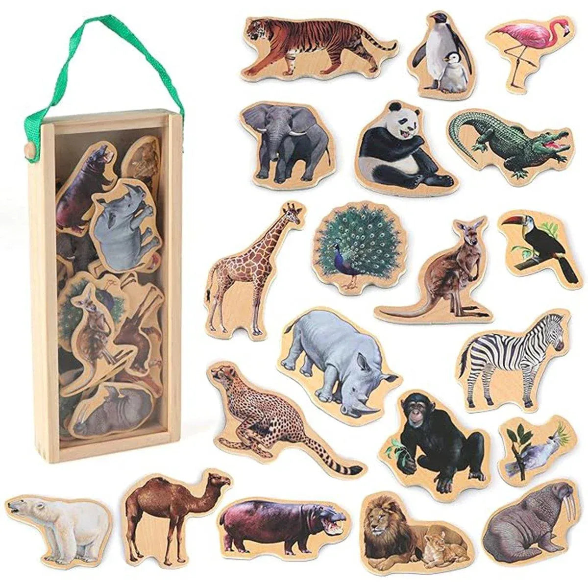 20-Piece Animal Magnet Pack with Carry Storage Box