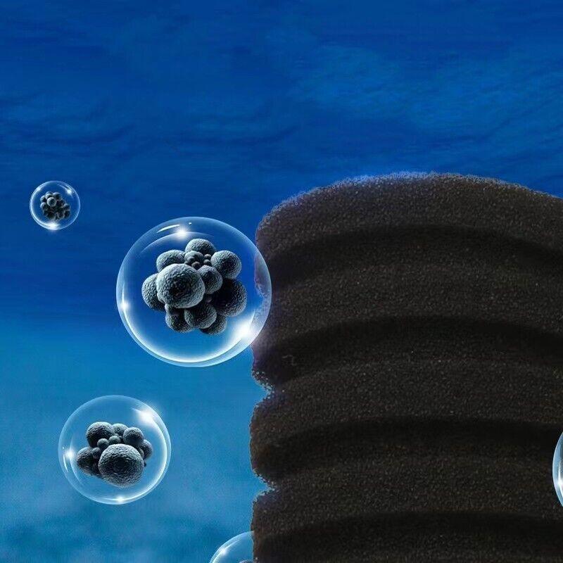 Aquarium Filters & Pumps: Double Head Aquarium Sponge Filter with Bio Media Box for Shrimp Breeding Tanks
