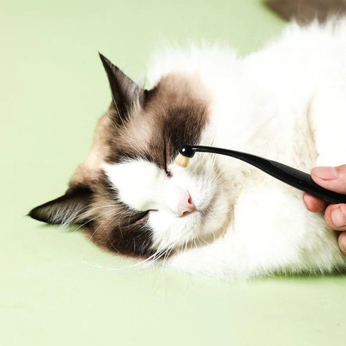 Pet Tear Stain Remover Brush for Cats and Dogs, 1 Piece
