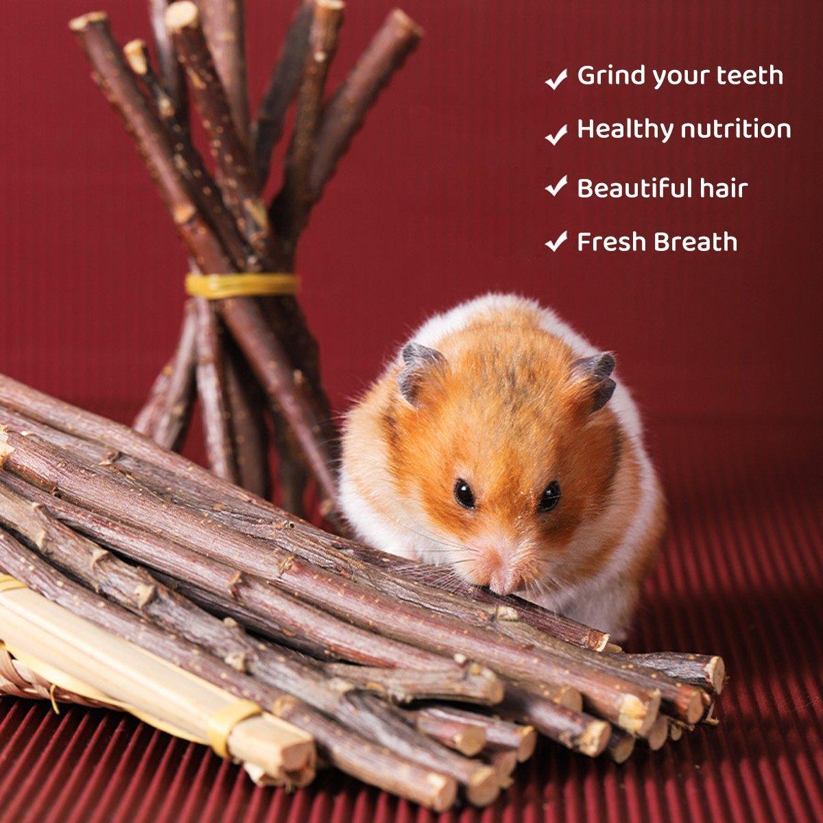 Dog Carriers & Crates: Natural Rabbit Molar Snacks Hamster Branches Sweet Bamboo Grinding Teeth Wood - Black