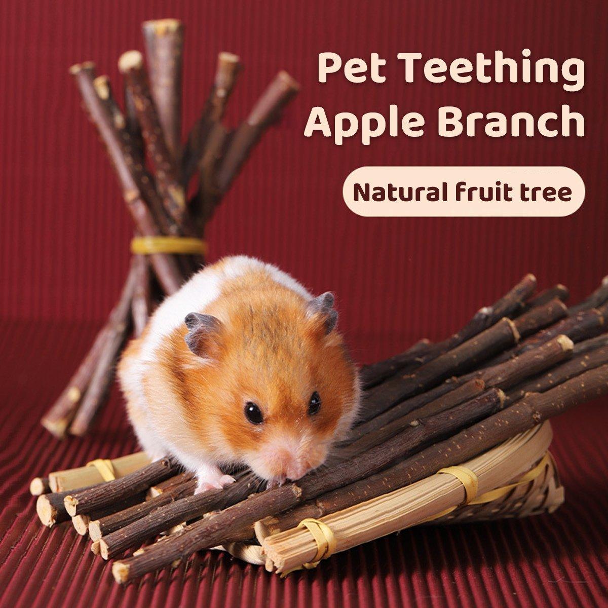 Dog Carriers & Crates: Natural Rabbit Molar Snacks Hamster Branches Sweet Bamboo Grinding Teeth Wood - White