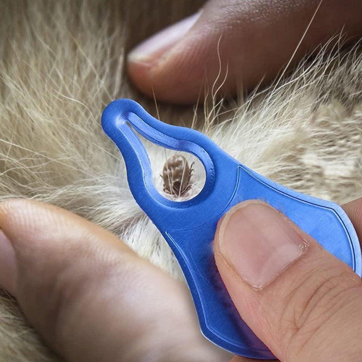 Pet Grooming Supplies: 1PC Tick Removal Tool Pet Dog Lice Clip Cat Flea Removal Tool Tick Remover Tool - Blue