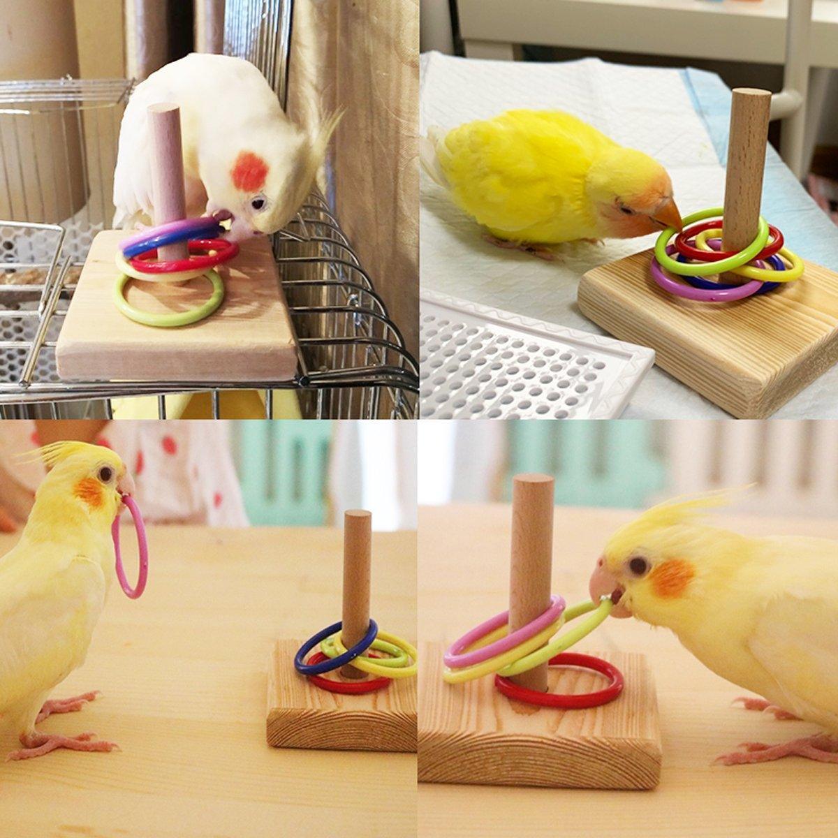 Bird Cage Accessories: Parrot Chew Toys Interactive Bird Training Rings Set Pet Bird Intelligence Toys