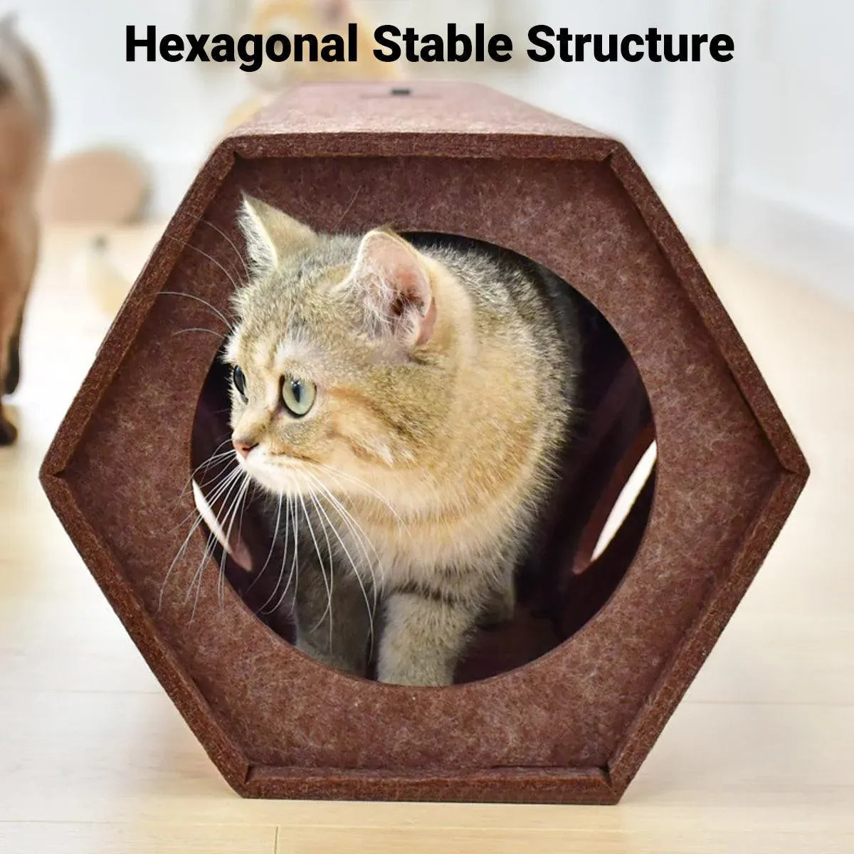 Brown Hexagonal Cat Tunnel 60 x 26 x 26 cm - 1 Piece