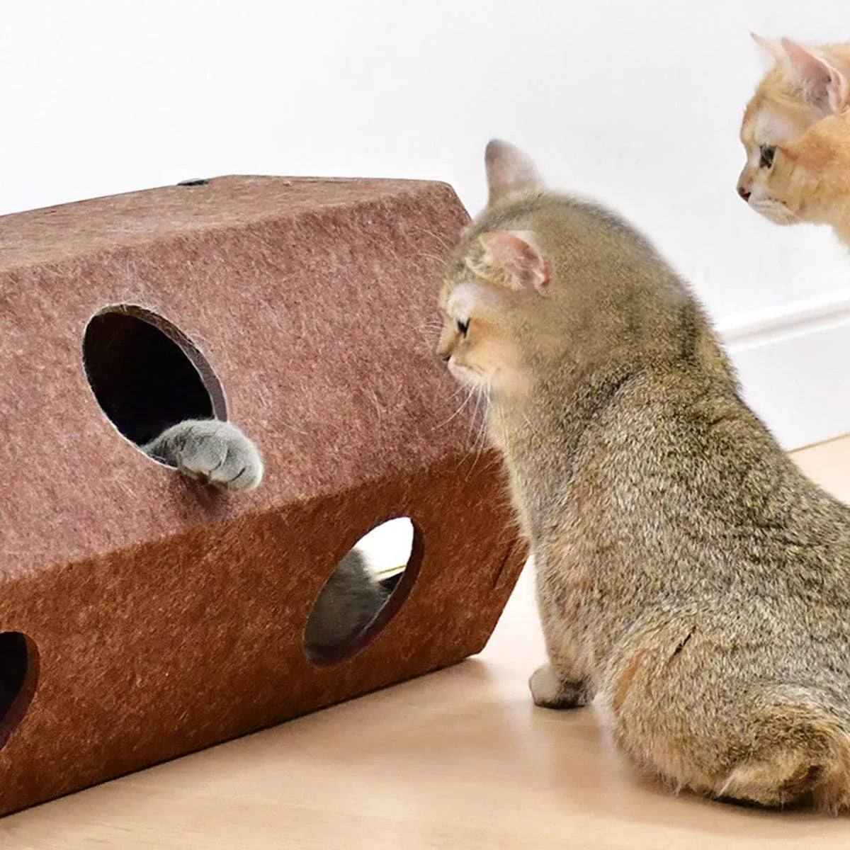 Brown Hexagonal Cat Tunnel 60 x 26 x 26 cm - 1 Piece