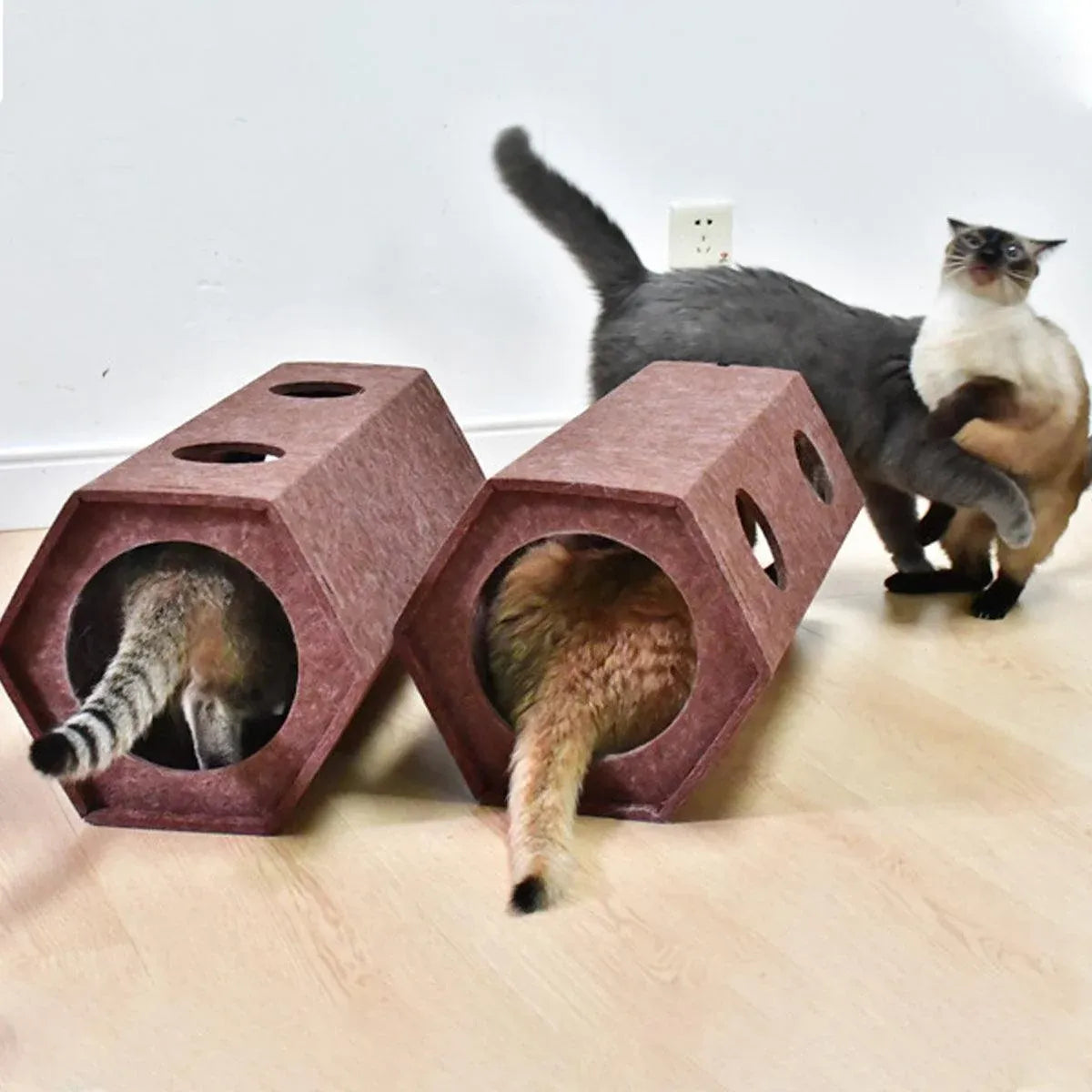Brown Hexagonal Cat Tunnel 60 x 26 x 26 cm - 1 Piece