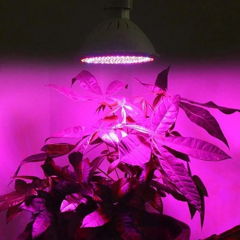 200 LED Clip-On Plant Grow Light with Flexible Gooseneck - 1 Pc