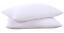 Pillows: Puredown Goose Down and Feather Pillow Inserts for Sleeping, 100% Cotton Fabric Cover Bed Pillows, Set of 2, White, King Size