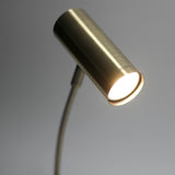 Table Lamps: Sarla Table Lamp - Antique Brass