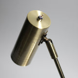 Table Lamps: Sarla Table Lamp - Antique Brass