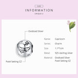 925 Sterling Silver Diy Zodiac Bracelet Beads Capricorn Style - Capricorn