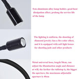 Adjustable Led Jewelry Table Lamp for Family Portraits