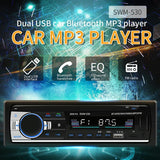 12V Car Dual Usb Charger Radio Receiver Mp3 Player Fm & Bluetooth Remote Control