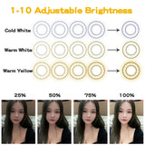 Adjustable 3.5 Live Broadcast Led Fill Light with Phone Clamp