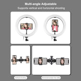 10.2 Led Ring Light with Tripod & Dual Phone Brackets - Usb Dimmable Dual Colour Temperature Selfie Remote - Black