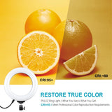 10 Mode Usb Led Ring Light with Tripod and Ball Head - 6.2 Inch Diameter - Black