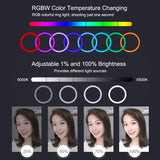 10.2 Curved Led Ring Light with Tripod & Remote for Vlogging & Photography - Black