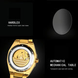 Men Automatic Mechanical Watch with Luminous Dial and Steel Band - Gold Belt White Face
