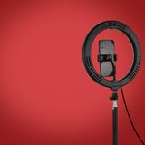 10.2 Usb Led Ring Light with 10 Modes Cold Shoe Tripod & Phone Clamp - Pink
