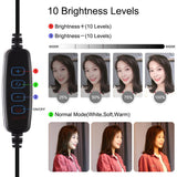10.2 Dual-colour Led Ring Light with Usb Bluetooth Remote and Phone Holder - White