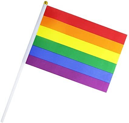 Rainbow Gay Pride Stick Flag Hand Held Mini Flag LGBT Rainbow Flag - 1 Flag