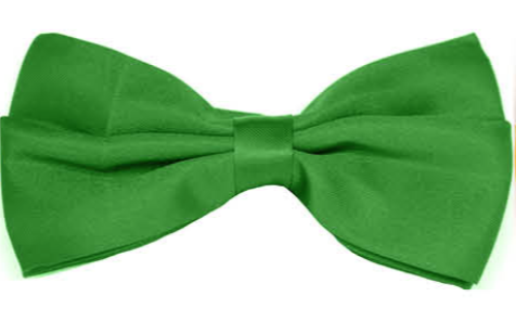 Men's Accessories: Mens BOW TIE Wedding Tuxedo Formal Bestman Necktie Classic Plain Party  - Green