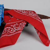 20x BANDANA Paisley 100% COTTON Head Wrap Durag Bandanna Scarf Mask BULK - Assorted Colour Pack
